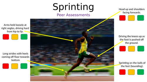 Sprinting Peer Assessment Sheet