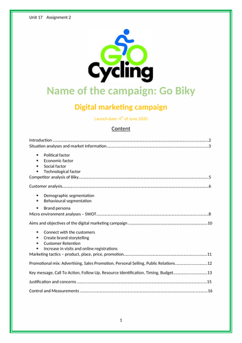 Online Marketing Campaign