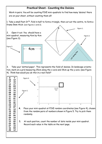 Random quadrats to sample a field of 'daisies' - paper exercise