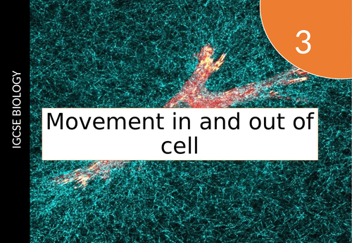 IGCSE movement in and out