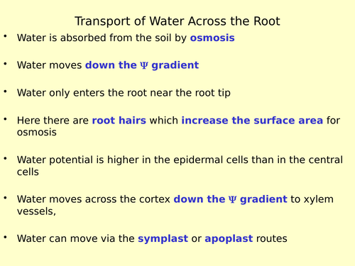 Water transport in plants including cohesion tension theory