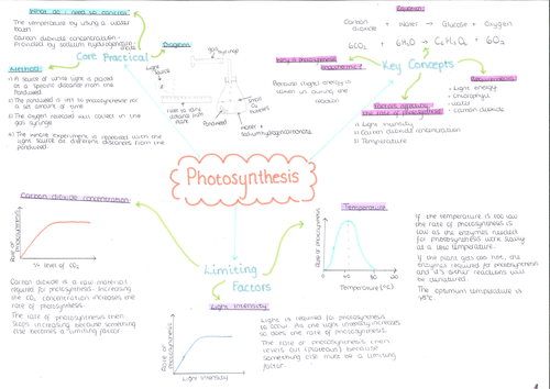 Biology Paper 2 Mind Map Booklet