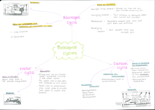 Ecology Cycles Mind Map