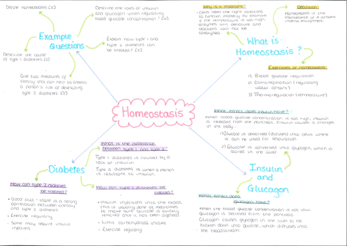 Homeostasis Mind Map