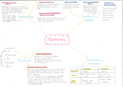 Concept Map Of Hormones Hormones Mind Map | Teaching Resources