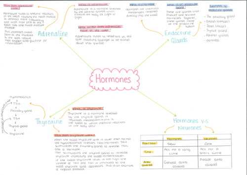 Hormones mind map