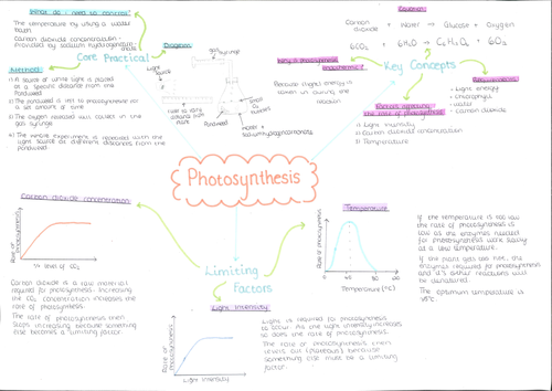 Mind Map For Photosynthesis Photosynthesis Mind Map | Teaching Resources