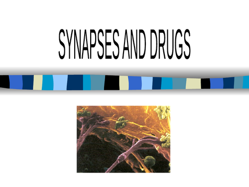 Synapses and drugs presentation suitable for A-level