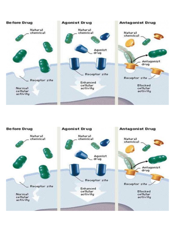WJEC Medical Science Unit 4  LO2 - How Medicines Work