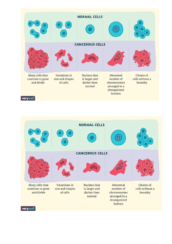 WJEC Medical Science Unit 4 LO3 - Cancer