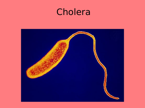 Presentation on cholera pathogen, symptoms and transmission of cholera