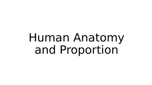 Series of activities for lessons on human anatomy and proportion