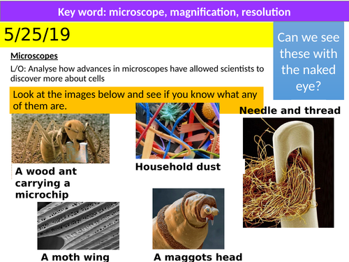 KS3 Microscope, Cells and Specialised Cells