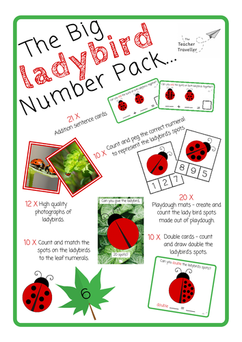 The BIG LADYBIRD number pack (EYFS Minibeasts)