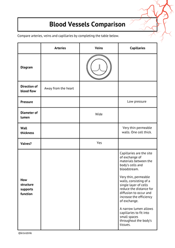 arteries veins and capillaries comparison