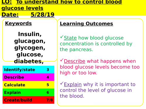 CB7e The control of blood glucose levels