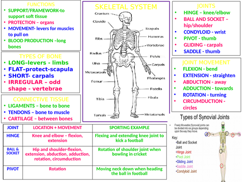 OCR cambridge national sports science bodys response to exercise learning on a page