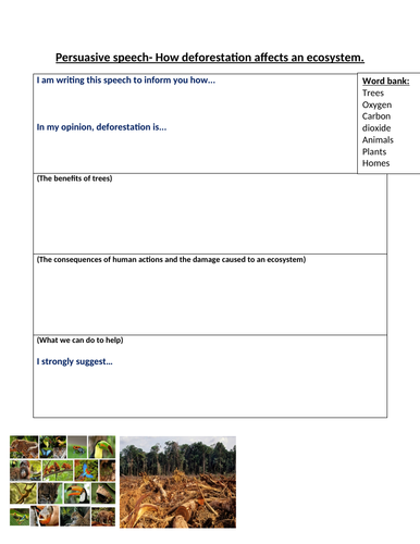 How deforestation affects an ecosystem- Y5 Geography Lesson