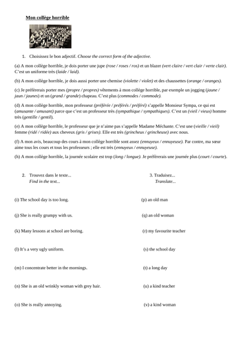 KS3 KS4 GCSE French  - "Mon collège" / School Reading Activity & Grammar (Adjectival Agreements)