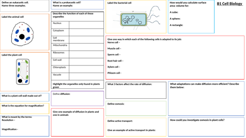 AQA New Spec Revision sheets - B1 - B4 - Chapter cells and organisation