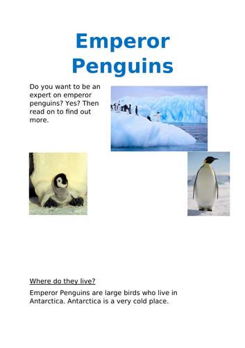 year 2 reading comprehension penguins teaching resources
