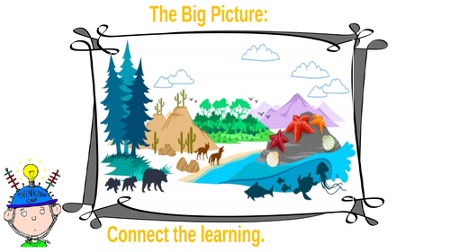 Ecosystems and Biomes