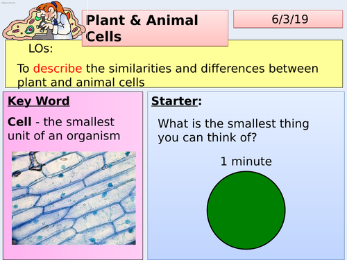 AQA KS3 YEAR 7 - INTRODUCTION TO PLANT & ANIMAL CELLS