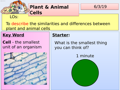 AQA KS3 YEAR 7 - INTRODUCTION TO PLANT & ANIMAL CELLS | Teaching Resources