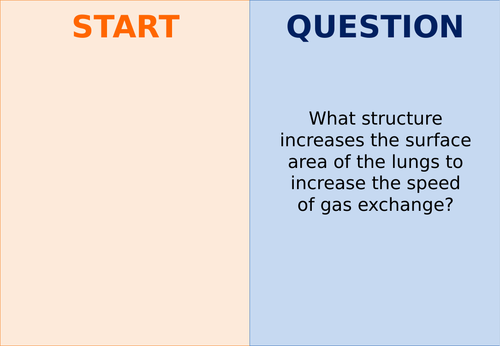 Edexcel SB8 Revision Dominos