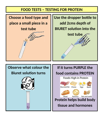 Food test instruction sheets (ideal for open evenings)