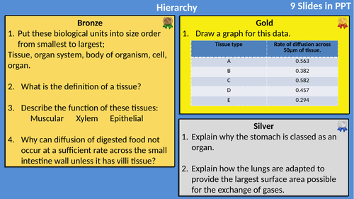 AQA Biology Organisation Differentiated