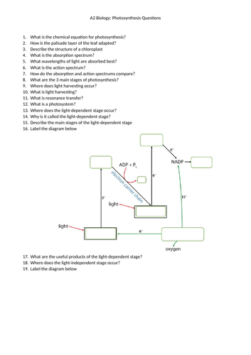 A2 Biology Photosynthesis Questions & Answers