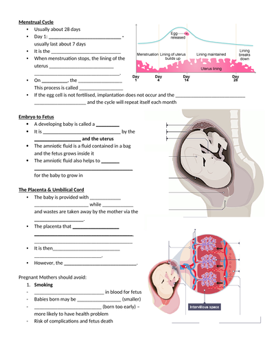 Year 7B Reproduction Science AQA CIE