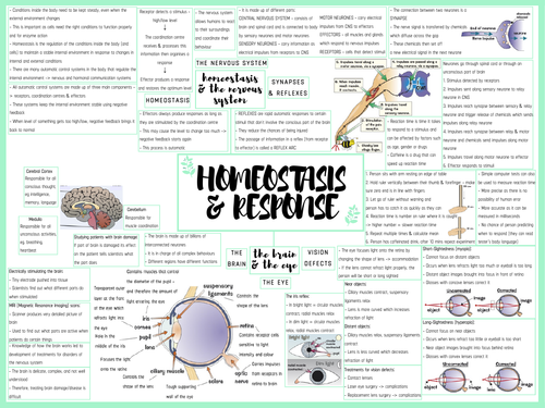 GCSE AQA BIOLOGY HOMEOSTASIS MIND MAP