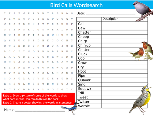 Onomatopoeia Bird Calls Wordsearch Sheet Starter Activity Keywords Cover Homework English Language