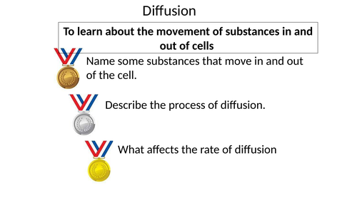 Diffusion GCSE, ELC, KS3, SEN