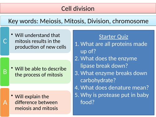 AQA GCSE CELL BIOLOGY CELL DIVISION MITOSIS STEM CELLS PPTS