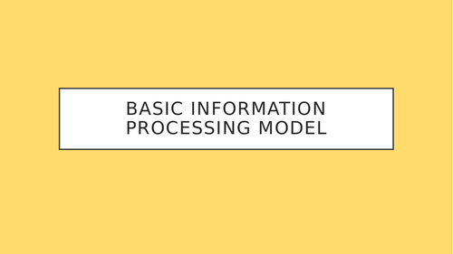 GCSE PE Basic Information Processing