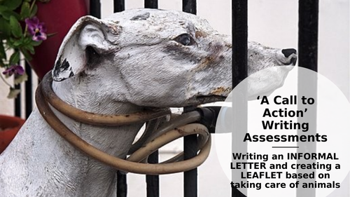 WRITING an INFORMAL LETTER and  LEAFLET based on ANIMAL CRUELTY