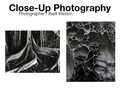Close-Up Photographers - GCSE Photography Reference / Ideas