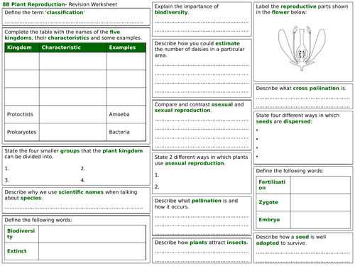 exploring science 8b revision worksheet plant reproduction teaching resources
