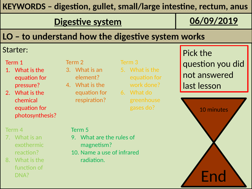 Digestive System KS3 | Teaching Resources