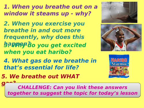 AQA KS3 YEAR 8 - BIOLOGY - ECOSYSTEMS