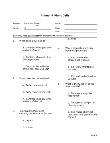 KS3 Year 7 Science Revision  quiz / mini tests