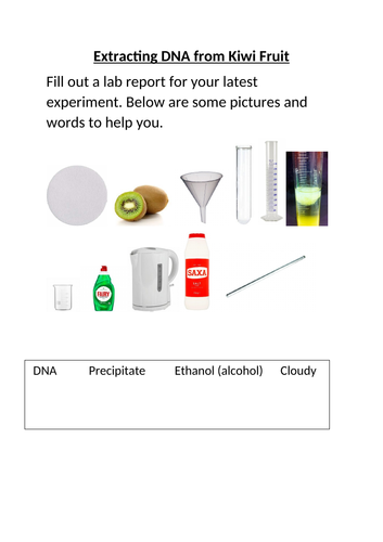 Extracting DNA from Kiwi core practical