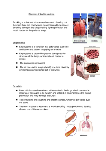 Smoking and Disease fact sheet