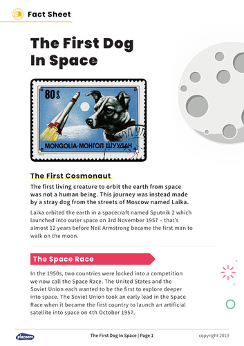 Laika: The First Dog In Space – Non-Fiction and Comprehension Questions for KS2