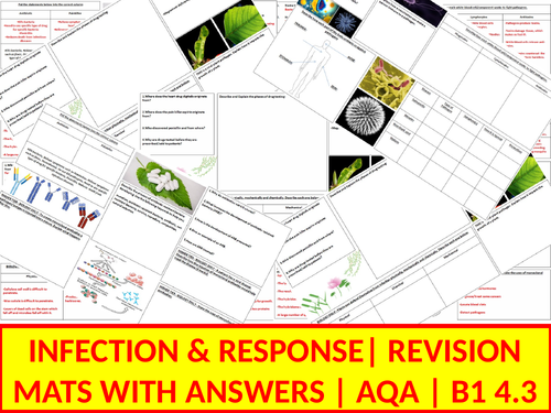B1 Revision Mats | 4.3 Infection & Response | AQA | With Answers