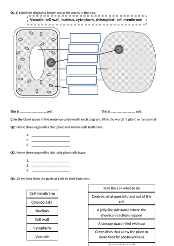 Science_doctor's Shop - Teaching Resources - TES