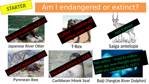 KS3 Preserving Biodiversity Lesson